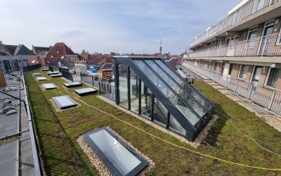 Wortelwerende bitumen met sedumdak – Goes