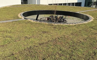 250 m² groendak met sedumbedekking – Hogeschool Zeeland Middelburg