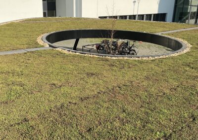 250 m² groendak met sedumbedekking – Hogeschool Zeeland Middelburg